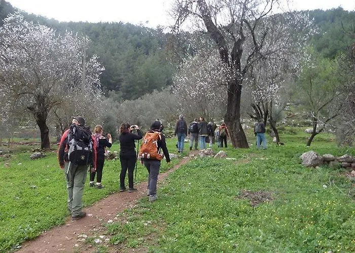 Twins Apart Aparthotel Turgutkoy