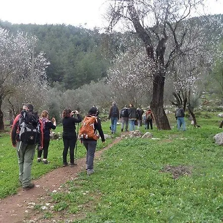Twins Apart Aparthotel Turgutkoy